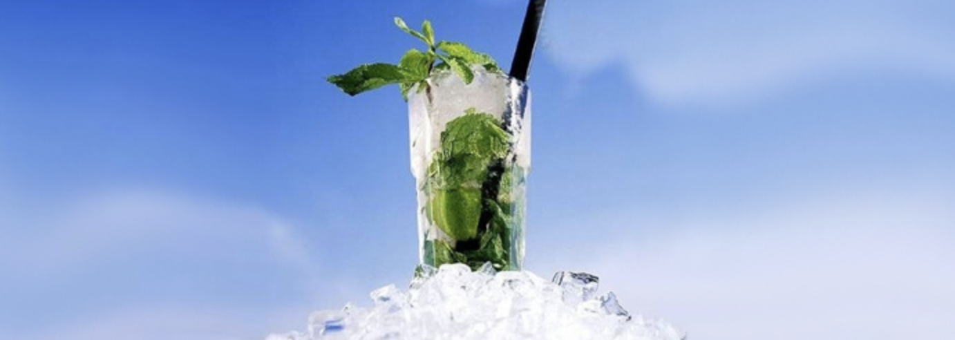 The Classic Mojito